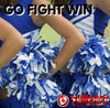 Go Fight Win