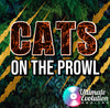 Cats On The Prowl- 1:00