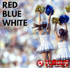 CCA Band Chant: Red Blue White